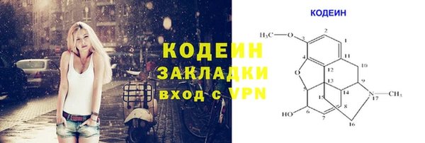 соль ск Бородино