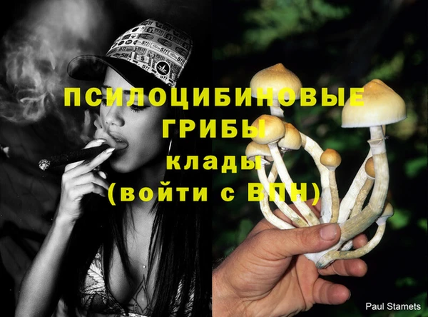 стаф Бугульма