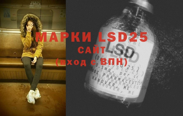 стаф Бугульма